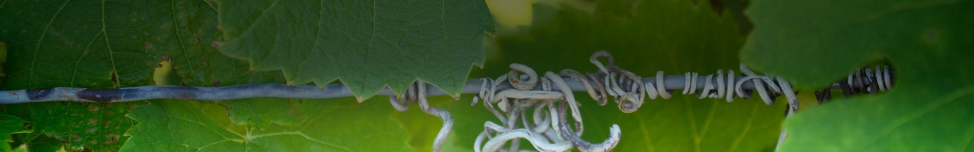 HB_WebSlider_GenericSecondary_3