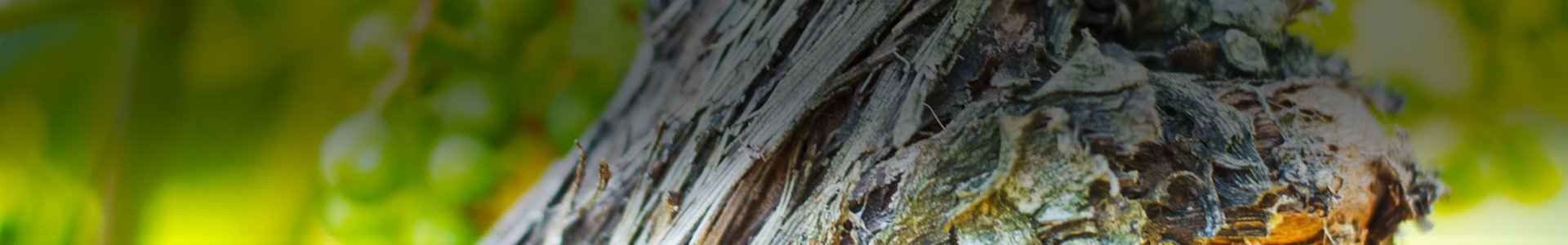 HB_WebSlider_GenericSecondary_5